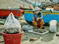 越南🇻🇳美奈漁村