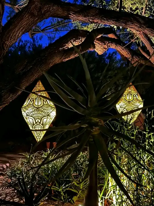 🌞 Desert Botanical Garden – Where the Desert Blooms with Life