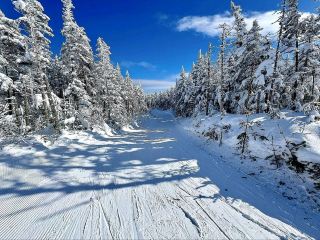 Laurel Mountain — Where Winter Whispers Ride the Slopes