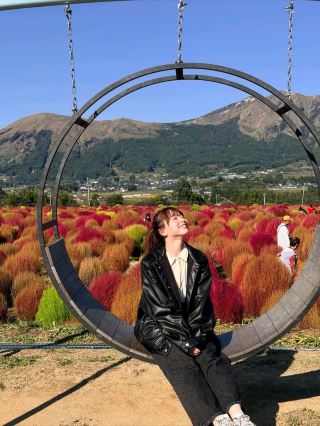 ​染紅阿蘇火山下的溫柔：秋日波斯菊與掃帚草之詩