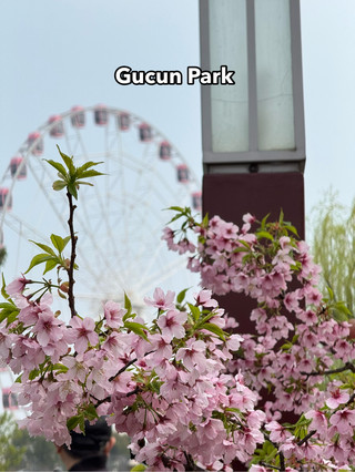 Gucun Park - Shanghai.