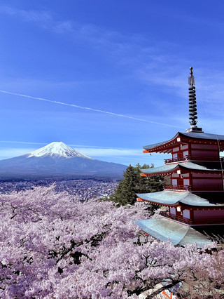 🇯🇵 東京富士山三日遊 | 完美的日本之旅