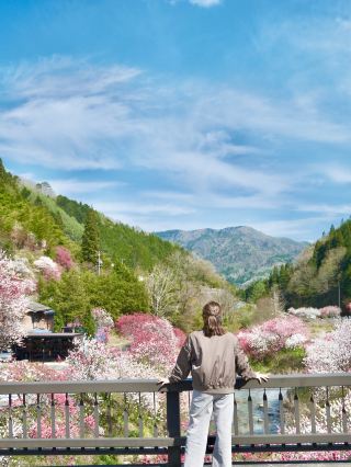 Hanamomo Kaido (Peach Blossom Route), Nagano.