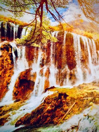 Germany Black Forest Feldberg Mossy Titisee Cliff Forest Caféeasytravelpost #Feldberg #Titisee #Bla