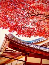  Echigo-Yuzawa’s Sake Brewery & Onsen Alley Walk