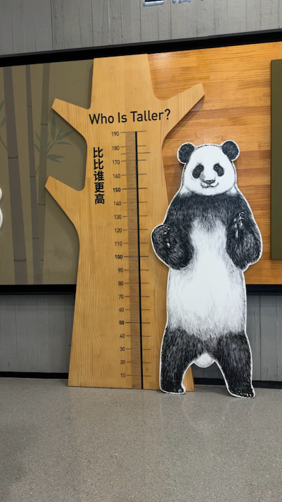 A Must-Visit for Panda Lovers in Chengdu 🐼