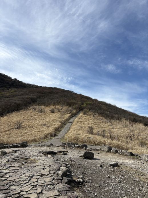 When in Japan, do you prefer city or nature?