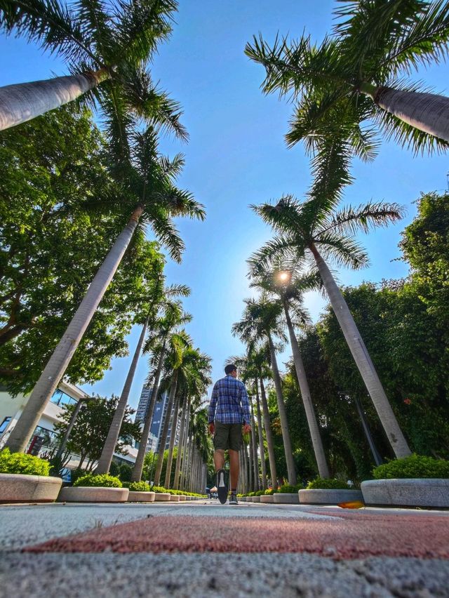 A park in the heart of Futian Shenzhen