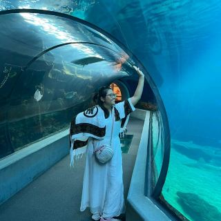 Maui Ocean Centre - Learn about Sharks!