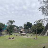 A memorable Mayan civilization and jungle experience at Tikal @ Guatemala 