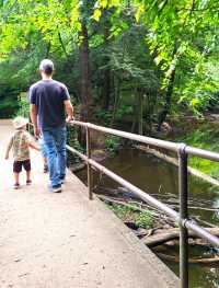 Roots, Rocks, and Rivers: Exploring Grand Ledge’s Hidden Trails