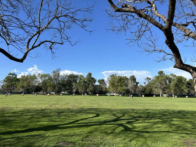 位於市區內佔地面積及大的自然公園