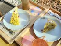 A Serene Morning in Tokyo: Sunrise in Asakusa, Cherry Blossoms, and Breakfast at Starbucks Reserve