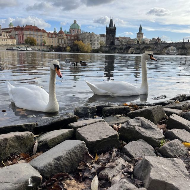 A magical city, Prague!  🤩