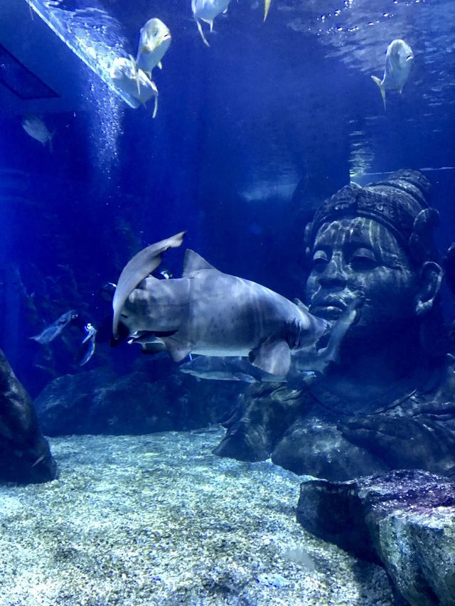 Sea Life Bangkok Ocean World, Thailand 🇹🇭