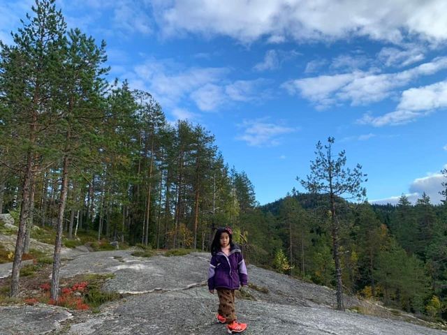 芬蘭🇫🇮景點-Tarhapuro waterfall