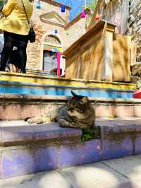 COLOURFUL NEIGHBOURHOOD NAMED BALAT