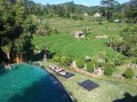 Lush Oasis in Bali