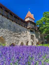 Tallinn Old Town