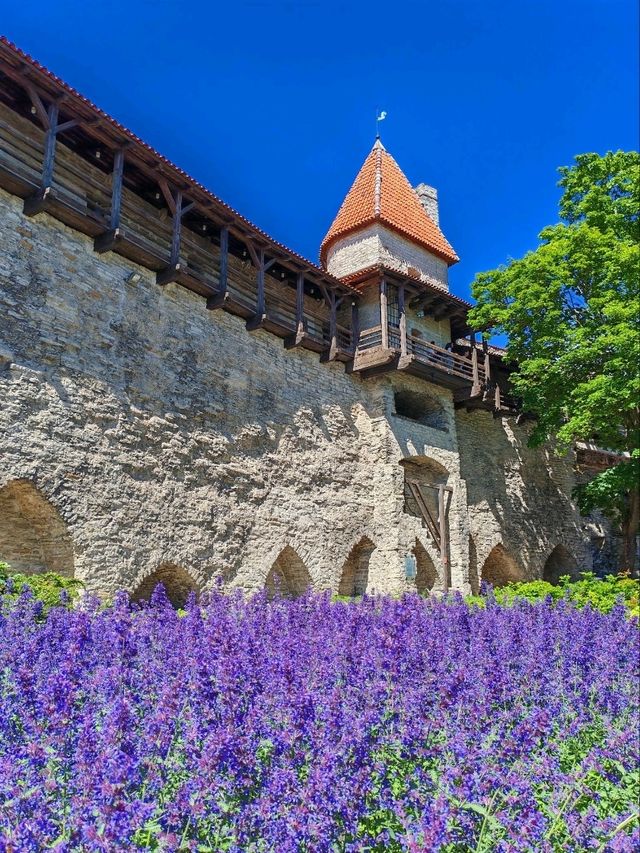 Tallinn Old Town