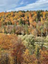 Autumn in Grunwald 🍻