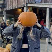 Pumpkin Marshmallow Mania: A Sweet Fall Festival