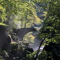 Wonderful walk through the hermitage