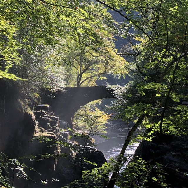 Wonderful walk through the hermitage