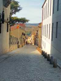 the medieval walls of Avila Spain 