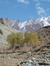 Hidden Valley Between Zinchan and Rumbak: A Remote Himalayan Escape