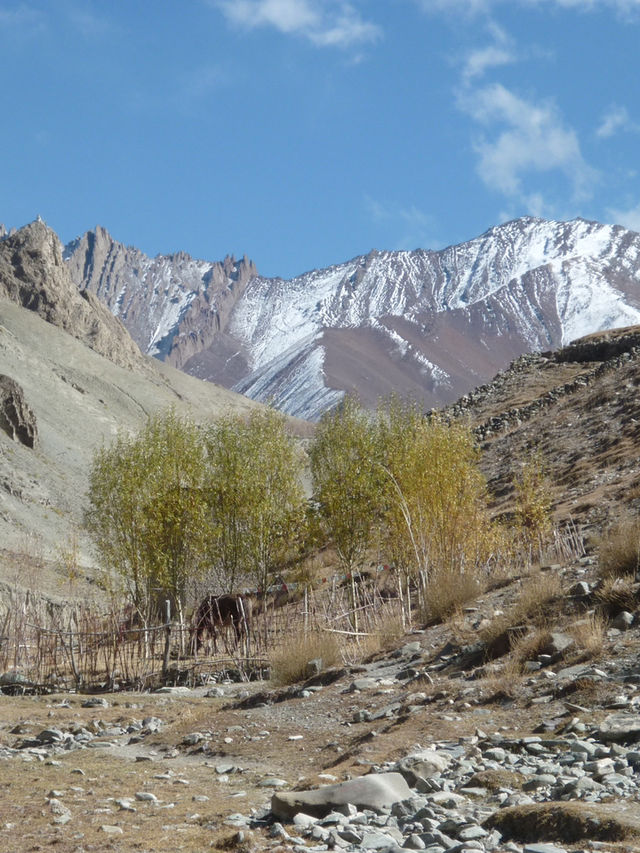 Hidden Valley Between Zinchan and Rumbak: A Remote Himalayan Escape