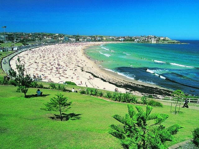 Explore the natural beauty of Australian beaches!