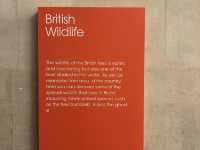 Must-Do Activities in Bristol