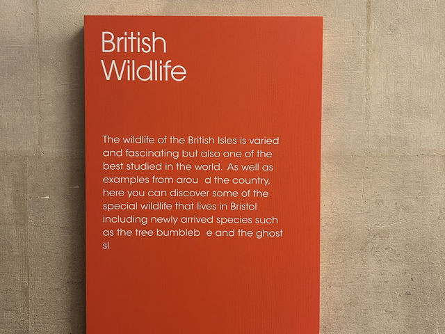 Must-Do Activities in Bristol