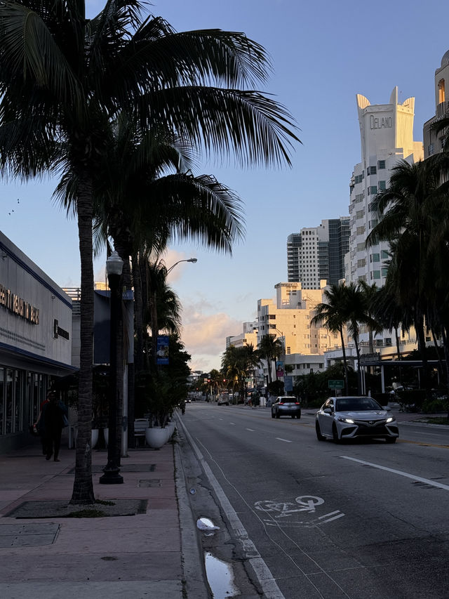 Our 3-Day Miami Beach Adventure! 🌴🌊