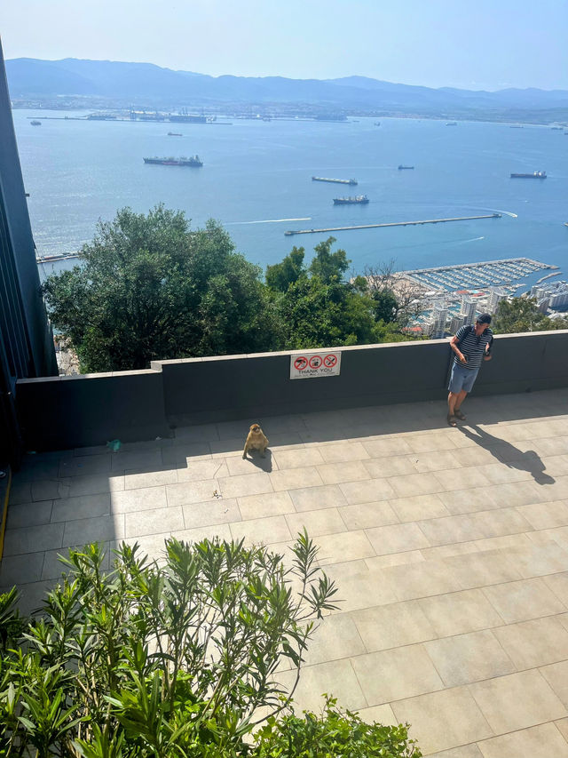 Monkeying around on Gibraltar🇬🇮 