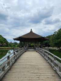 Nara: Where Ancient Japan Walks Beside You