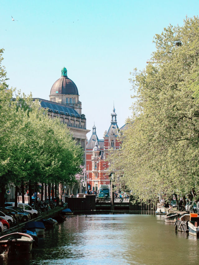 🎒 Backpacker Essentials for Amsterdam — Travel Smart & Save Big!