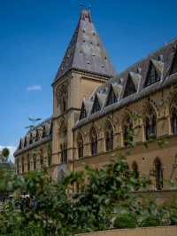 🏛️ Oxford University Museum of Natural History – Gothic Wonder & Scientific Treasure