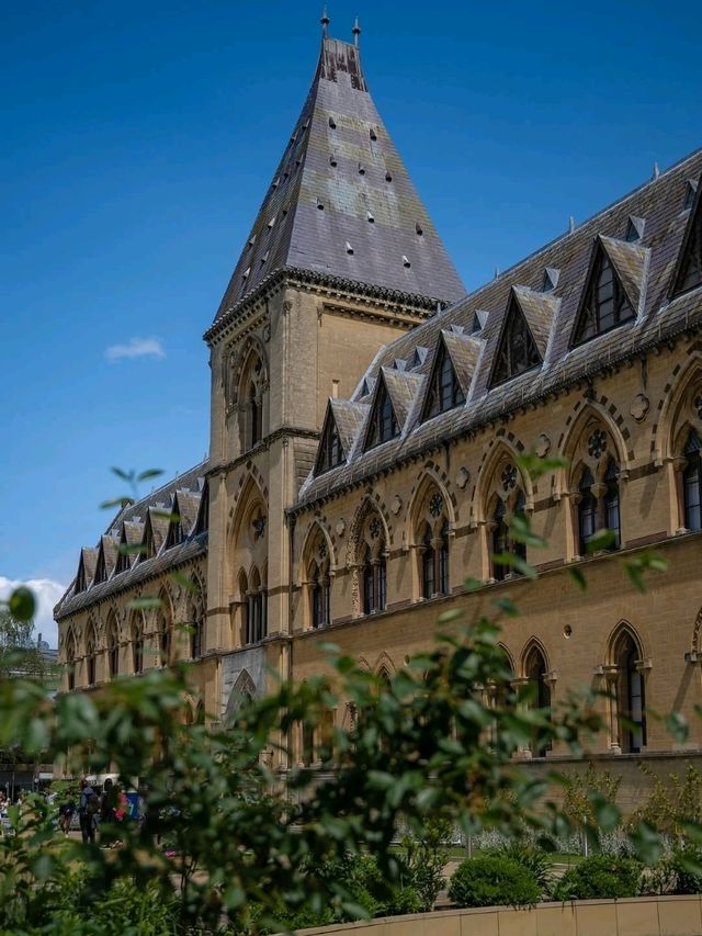 🏛️ Oxford University Museum of Natural History – Gothic Wonder & Scientific Treasure
