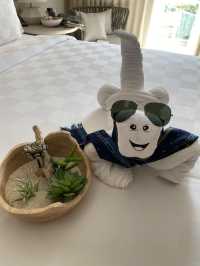 Paradise to discover around: Ayana Komodo Resort 