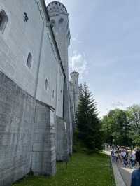 Neuschwanstein Castle 🏰 