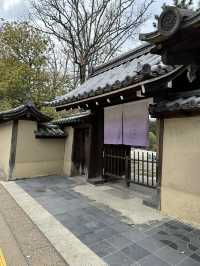 Japan Trip: Get ready to discover the ancient vibes of Nara!