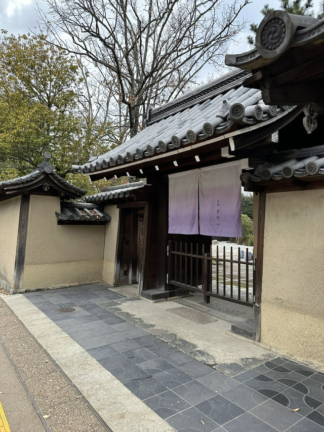 Japan Trip: Get ready to discover the ancient vibes of Nara!