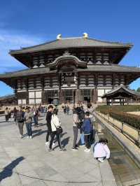Nara’s ancient vibes meet jaw-dropping temples