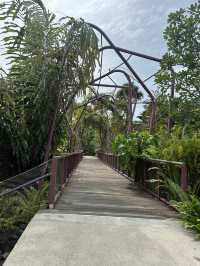 💮 🌿✨ Gardens by the Bay -Daytime