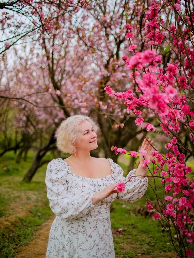 Сад Пинба в долине Гуйчжоу Сад Пинба в долине Гуйчжоу