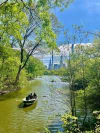 Central Park, it’s basically Hollywood’s favorite green screen!