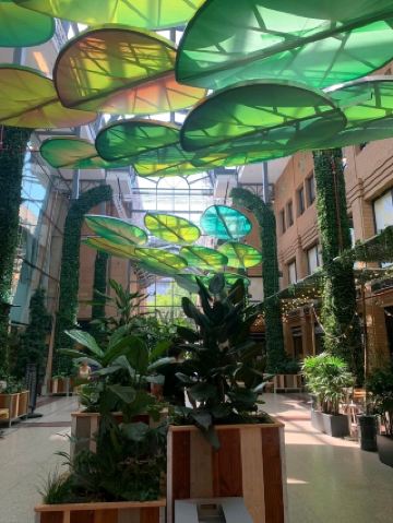 Eindhoven: City of Light, Design, and Incredible Energy