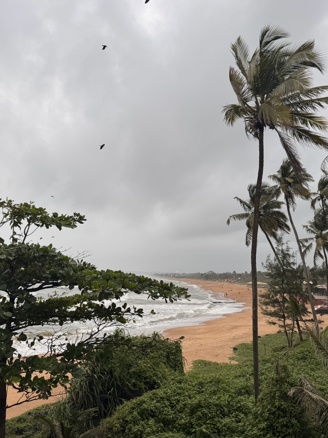Goa trip